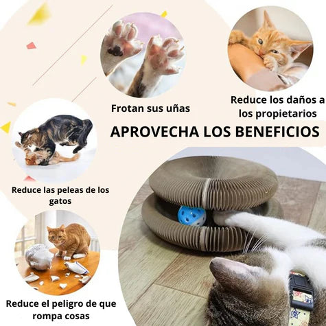 Rascador para Gatos